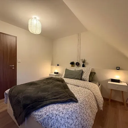 Apartment Proche Centre Avec Parking Colmar