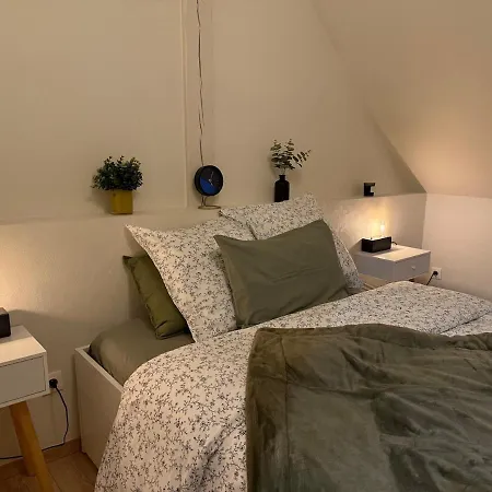 Proche Centre Avec Parking Appartement Colmar