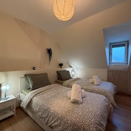 Appartement Proche Centre Avec Parking Colmar