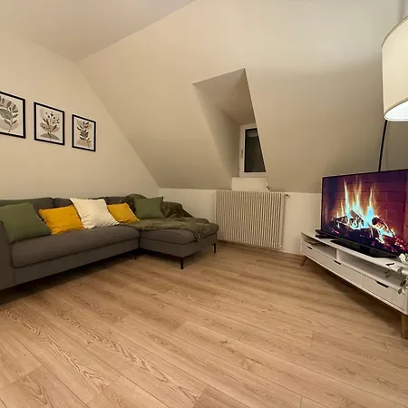 Proche Centre Avec Parking Apartment Colmar