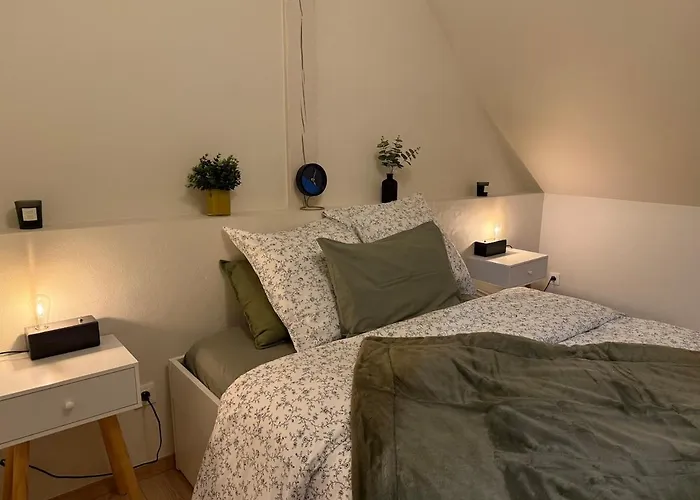 Proche Centre Avec Parking Apartmán Colmar